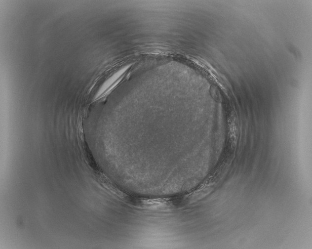 X0000115040516200912071112