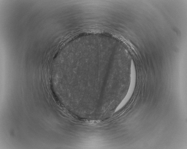 X0000115040517200912071112