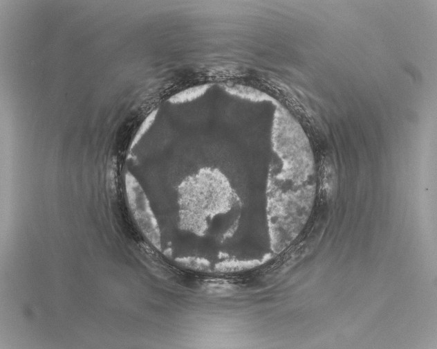 X0000115040519200912071112