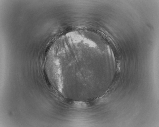 X0000115040520200912071112