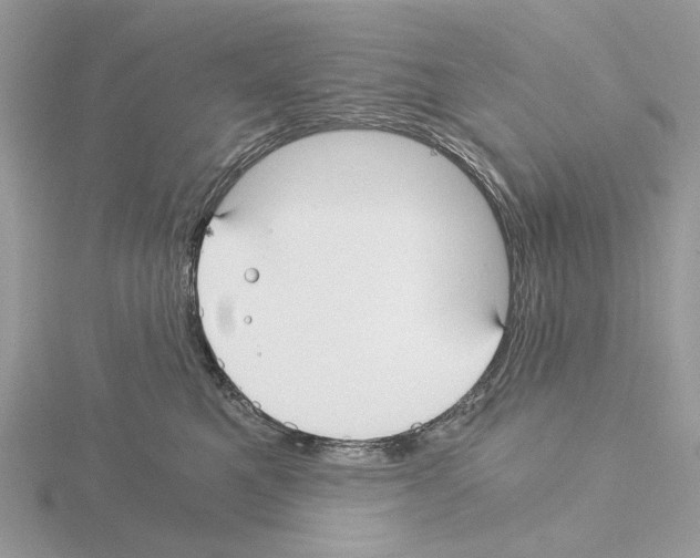 X0000115040521200912071112