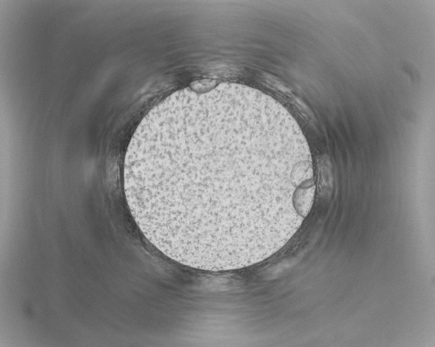 X0000115040523200912071112