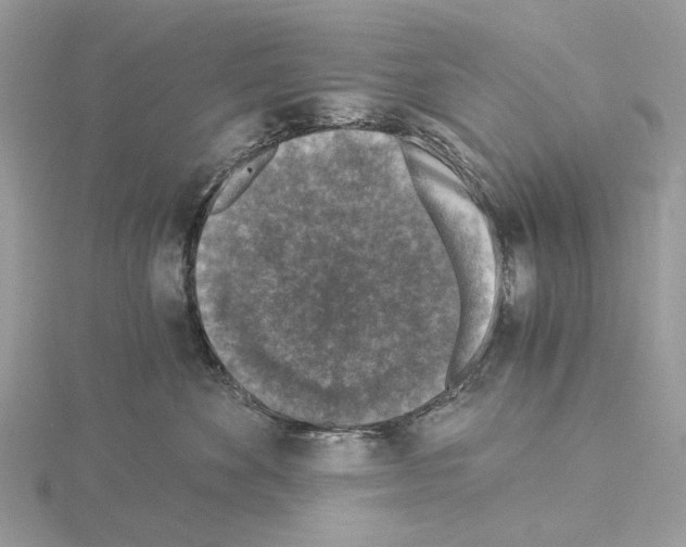 X0000115040524200912071112