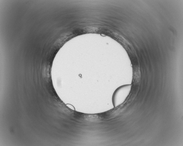 X0000115040525200912071112