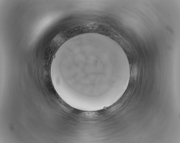 X0000115040526200912071112