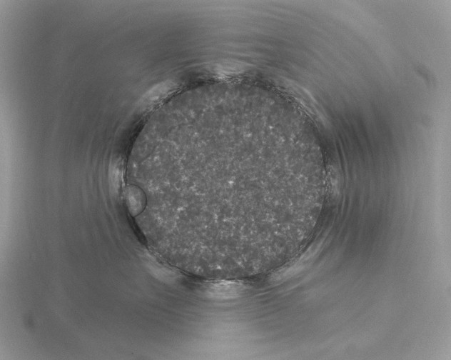 X0000115040527200912071112