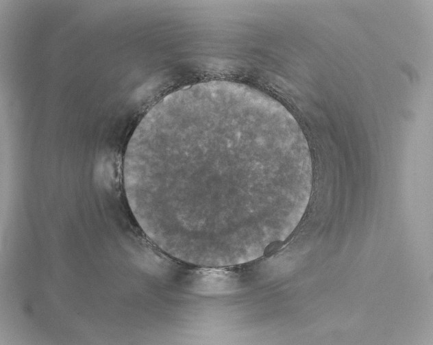 X0000115040528200912071112