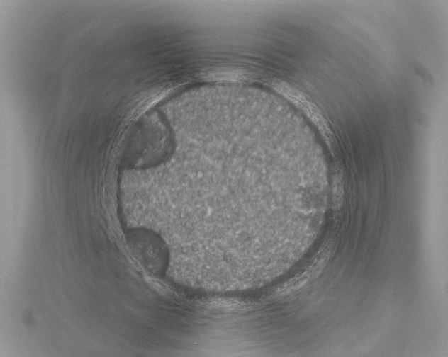 X0000115040529200912071111