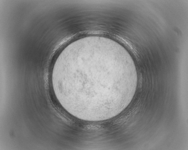 X0000115040535200912071111