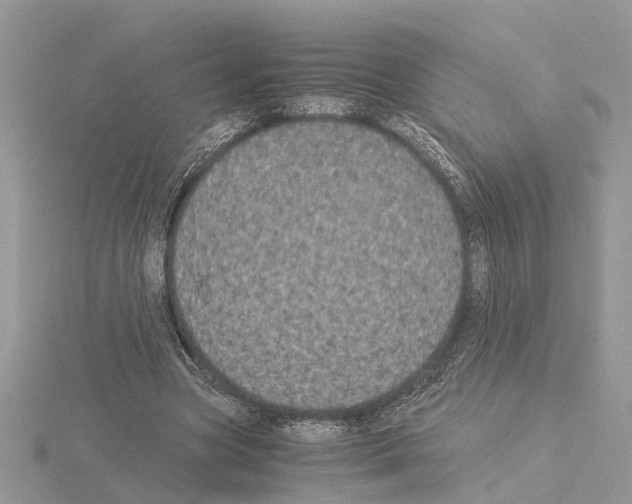 X0000115040537200912071111