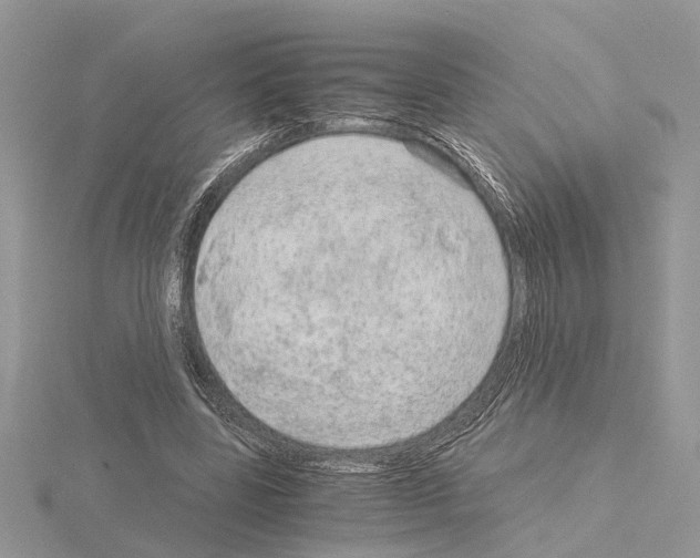 X0000115040539200912071111