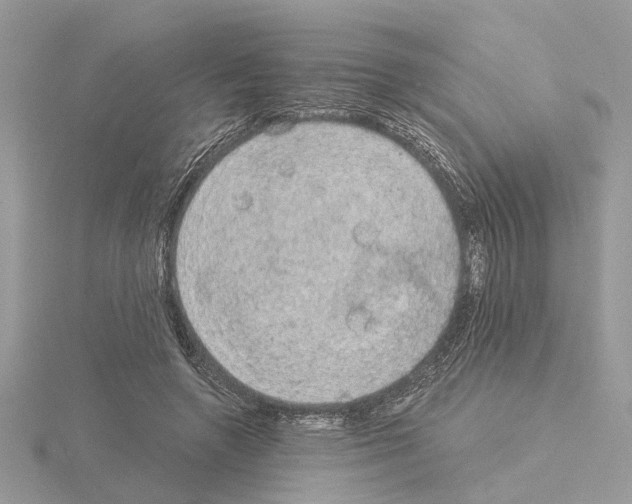 X0000115040546200912071111