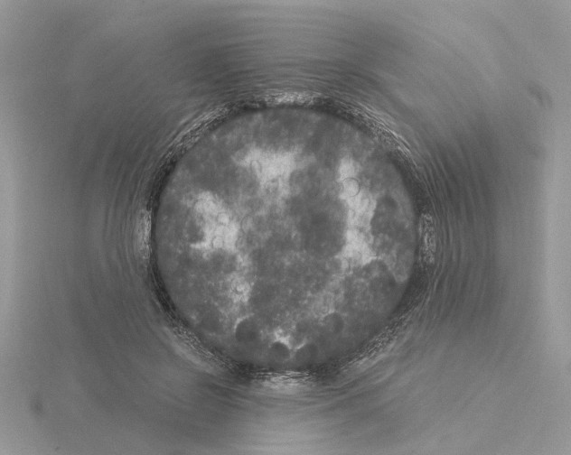 X0000115040550200912071111