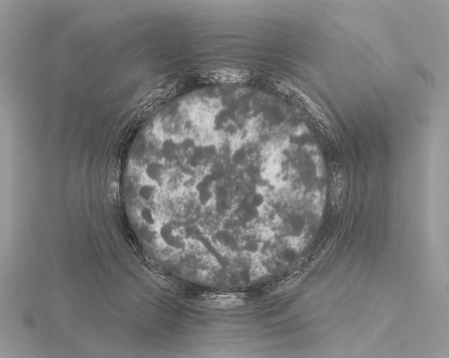 X0000115040553200912071111