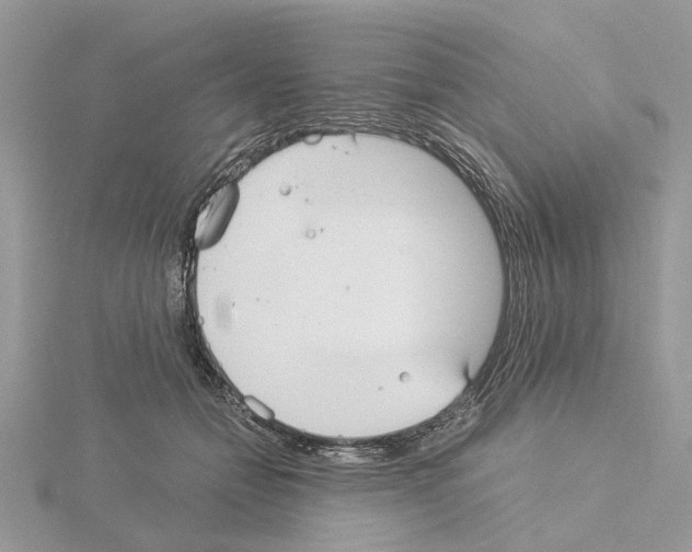 X0000115040558200912071111