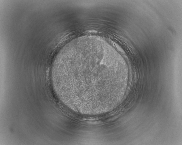 X0000115040559200912071111