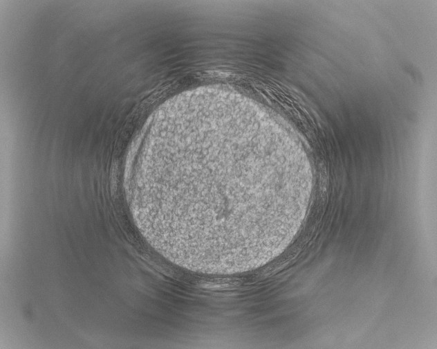 X0000115040563200912071112