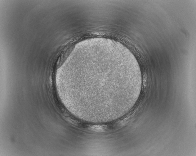 X0000115040566200912071112