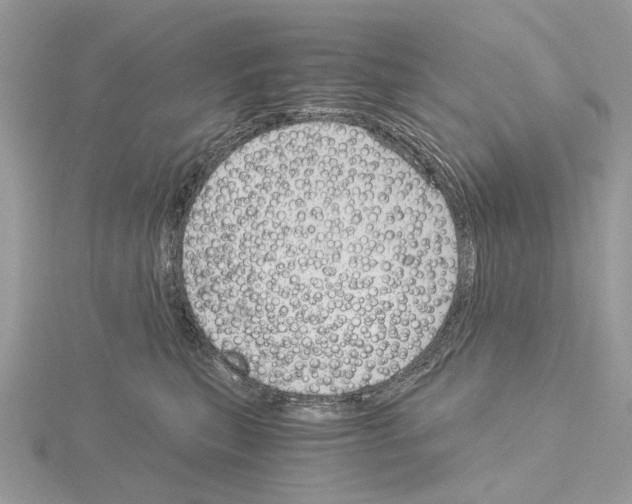 X0000115040567200912071112