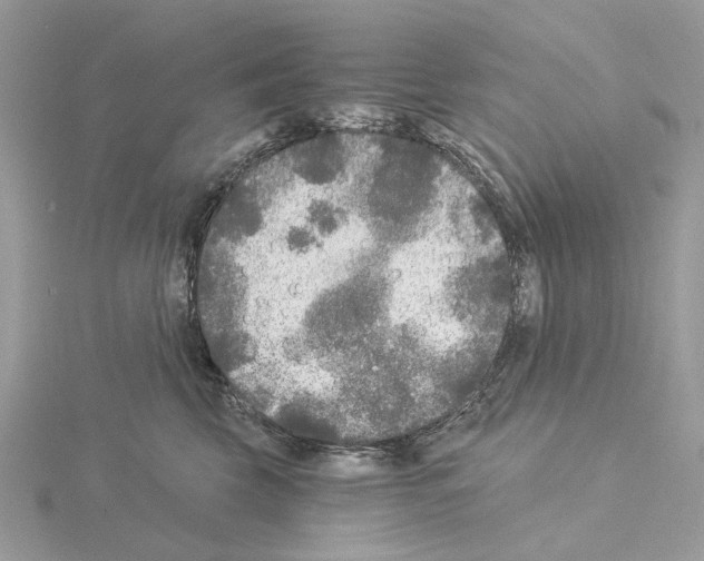 X0000115040569200912071112