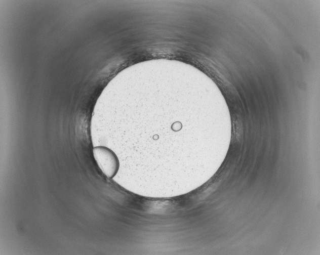 X0000115040575200912071112