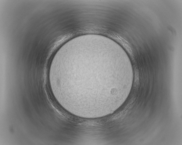 X0000115040578200912071111