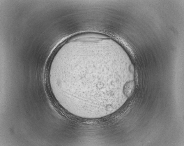 X0000115040580200912071111