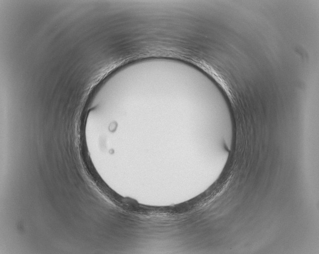 X0000115040581200912071111