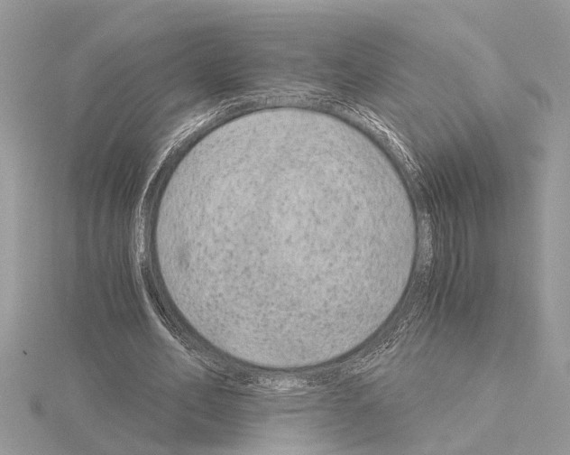 X0000115040582200912071111