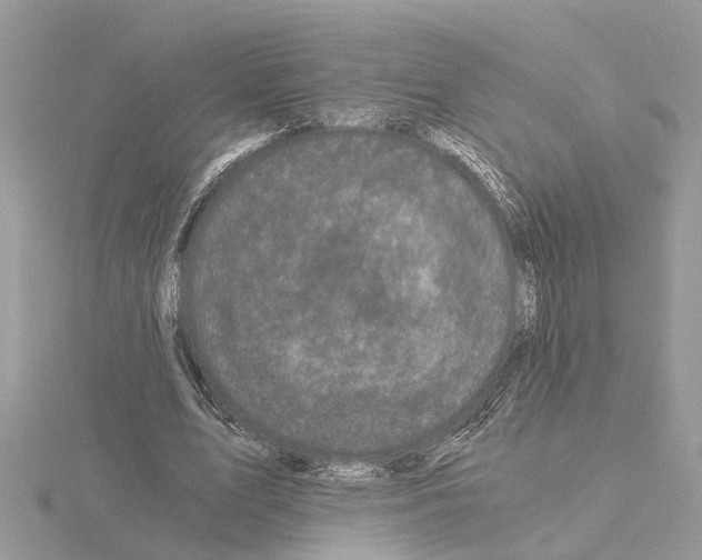 X0000115040583200912071111