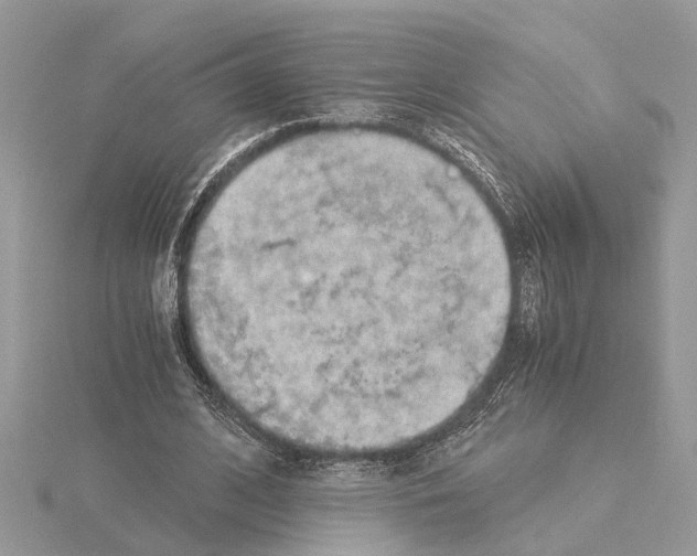 X0000115040584200912071111