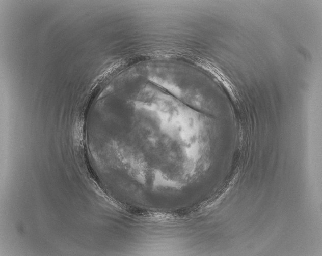 X0000115040585200912071111