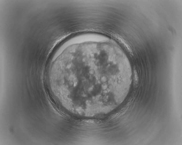 X0000115040588200912071111