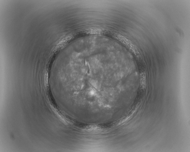 X0000115040589200912071111