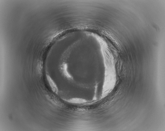 X0000115040592200912071111