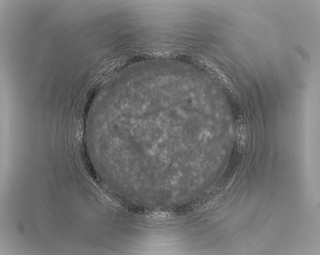 X0000115040593200912071111