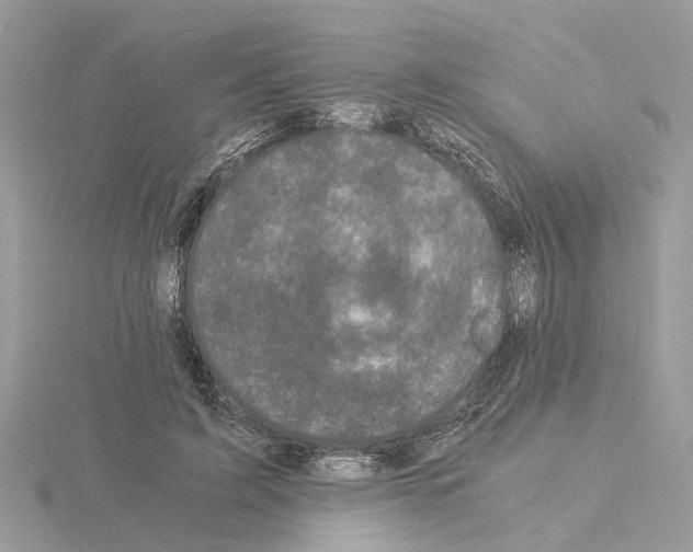 X0000115040595200912071111