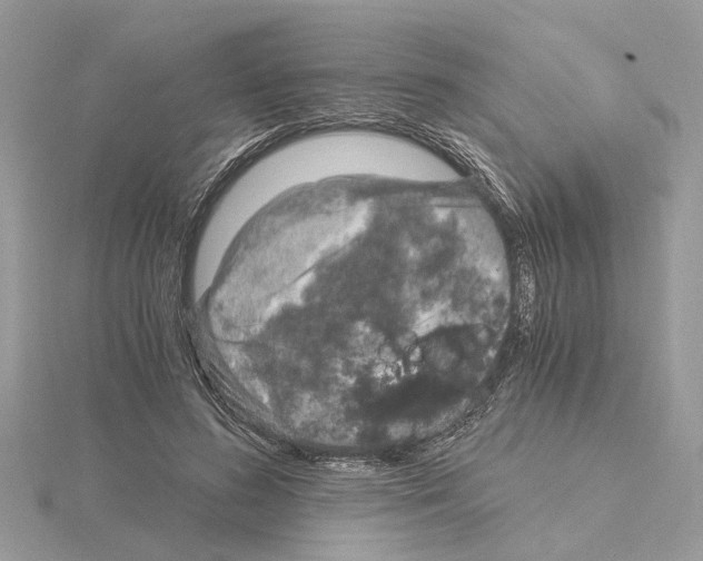 X0000115040596200912071111