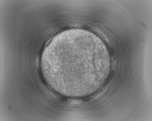 X0000115040597200912071111