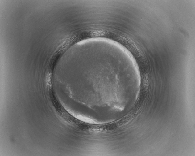 X0000115040598200912071111