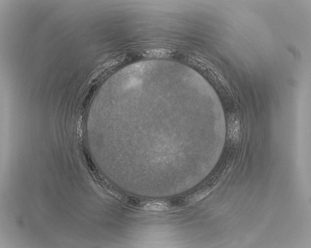 X0000115040599200912071111