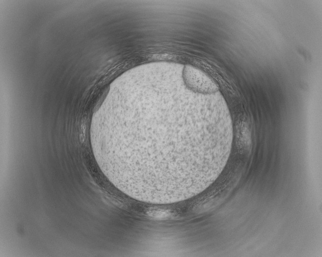 X0000115040602200912071111