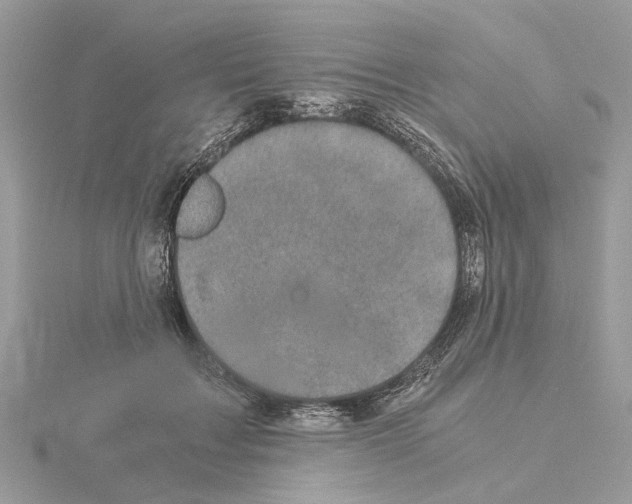 X0000115040603200912071111