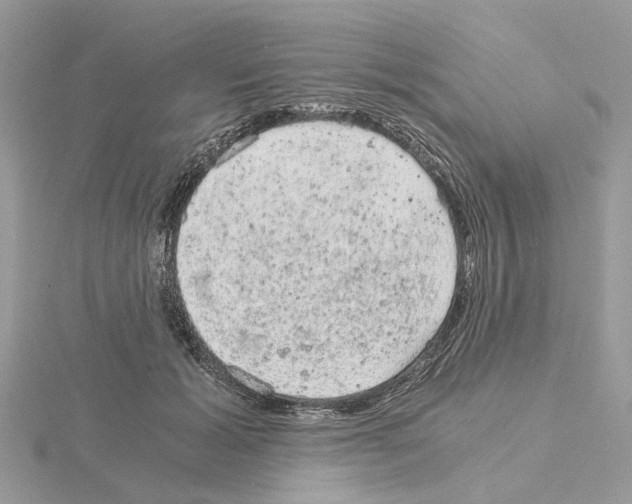 X0000115040605200912071111