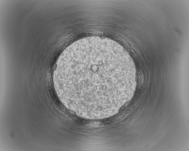 X0000115040609200912071111