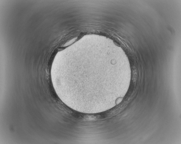 X0000115040613200912071110