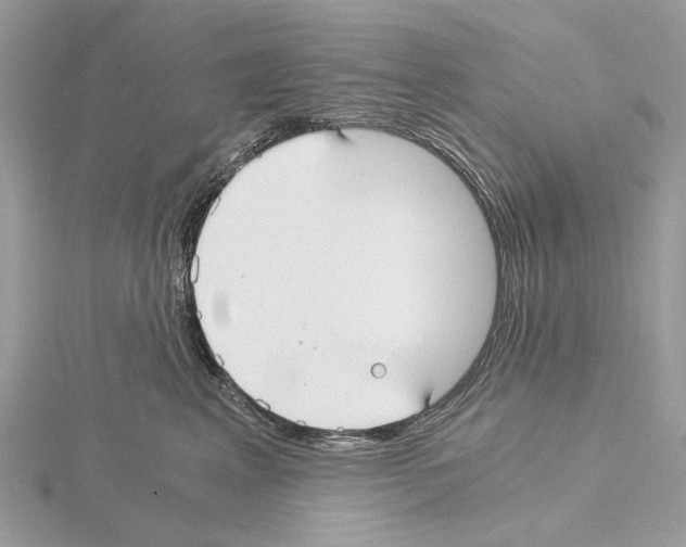 X0000115040617200912071110