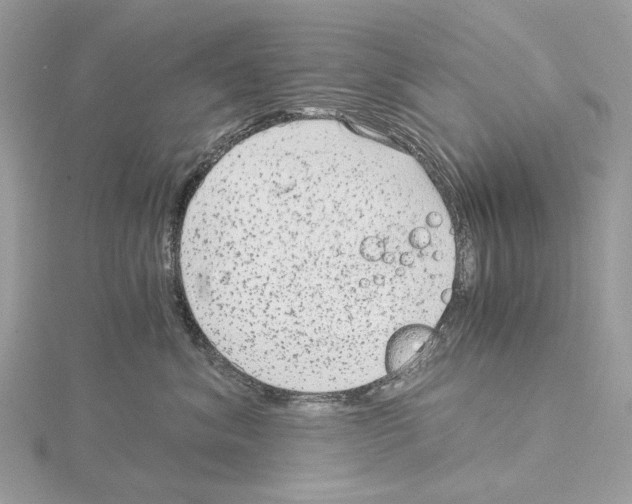 X0000115040620200912071110