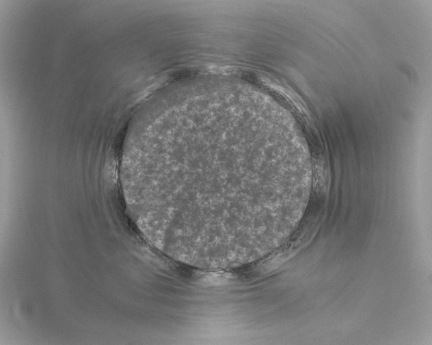 X0000115040621200912071110