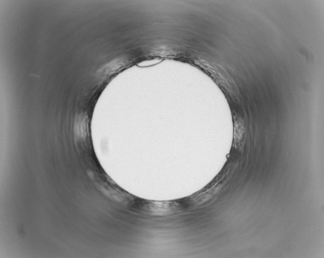 X0000115040623200912071110